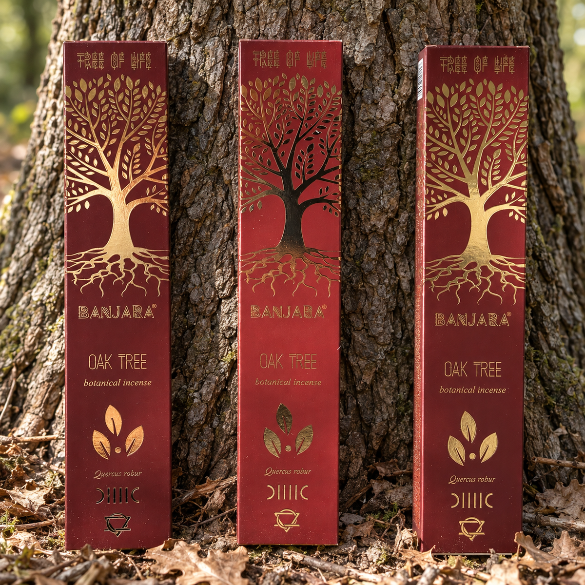 Banjara Oak Tree botanical incense 15g with Tree of Life design displayed beside an oak tree