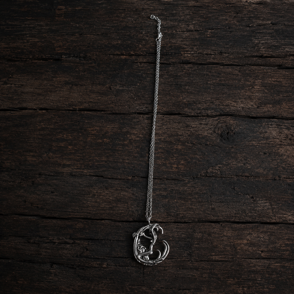 Her Gravity unisex silver-tone pendant necklace displayed in full length on dark wooden background.