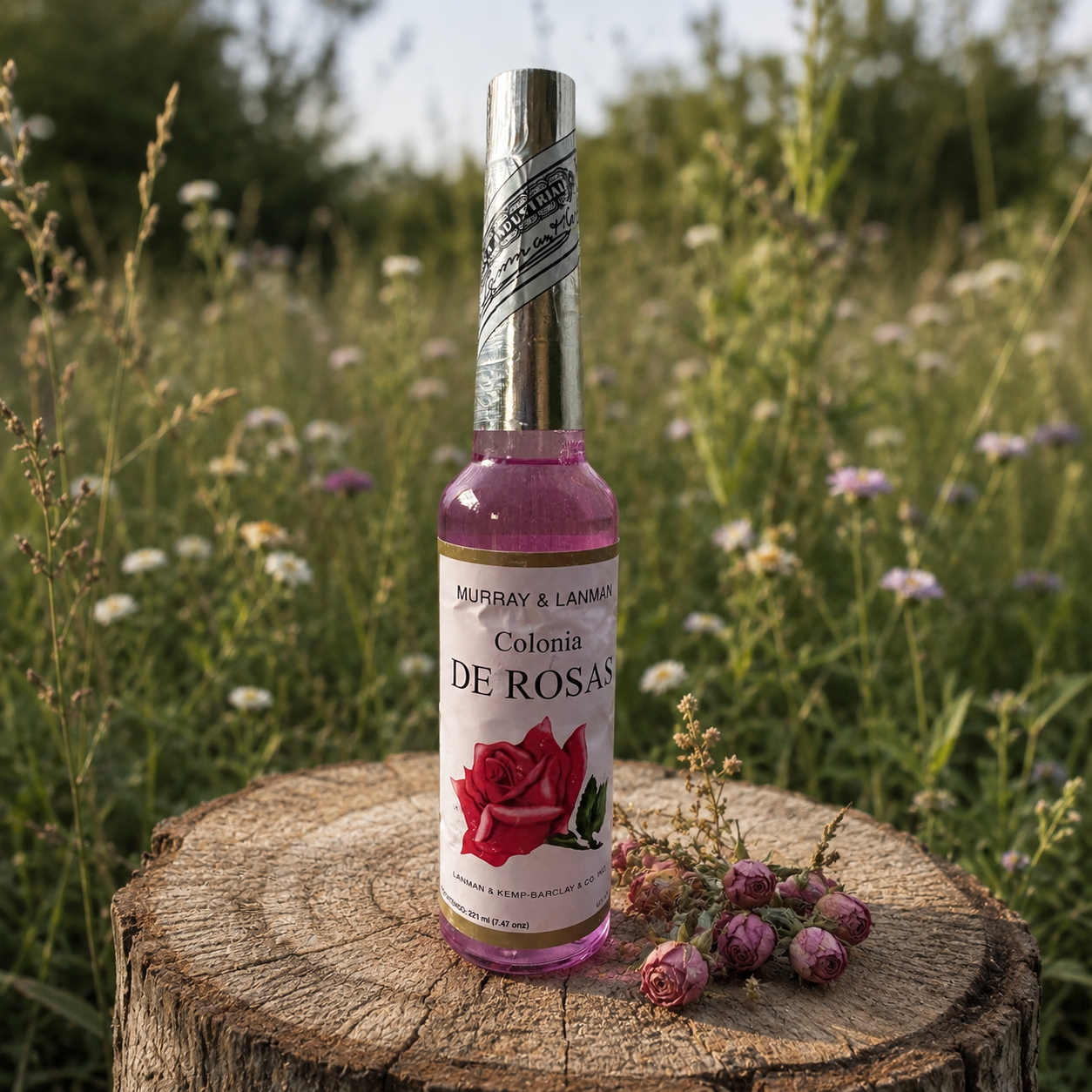 Bottle of Murray & Lanman Colonia de Rosas floral cologne displayed on a natural tree stump with dried rose buds in a wildflower meadow.